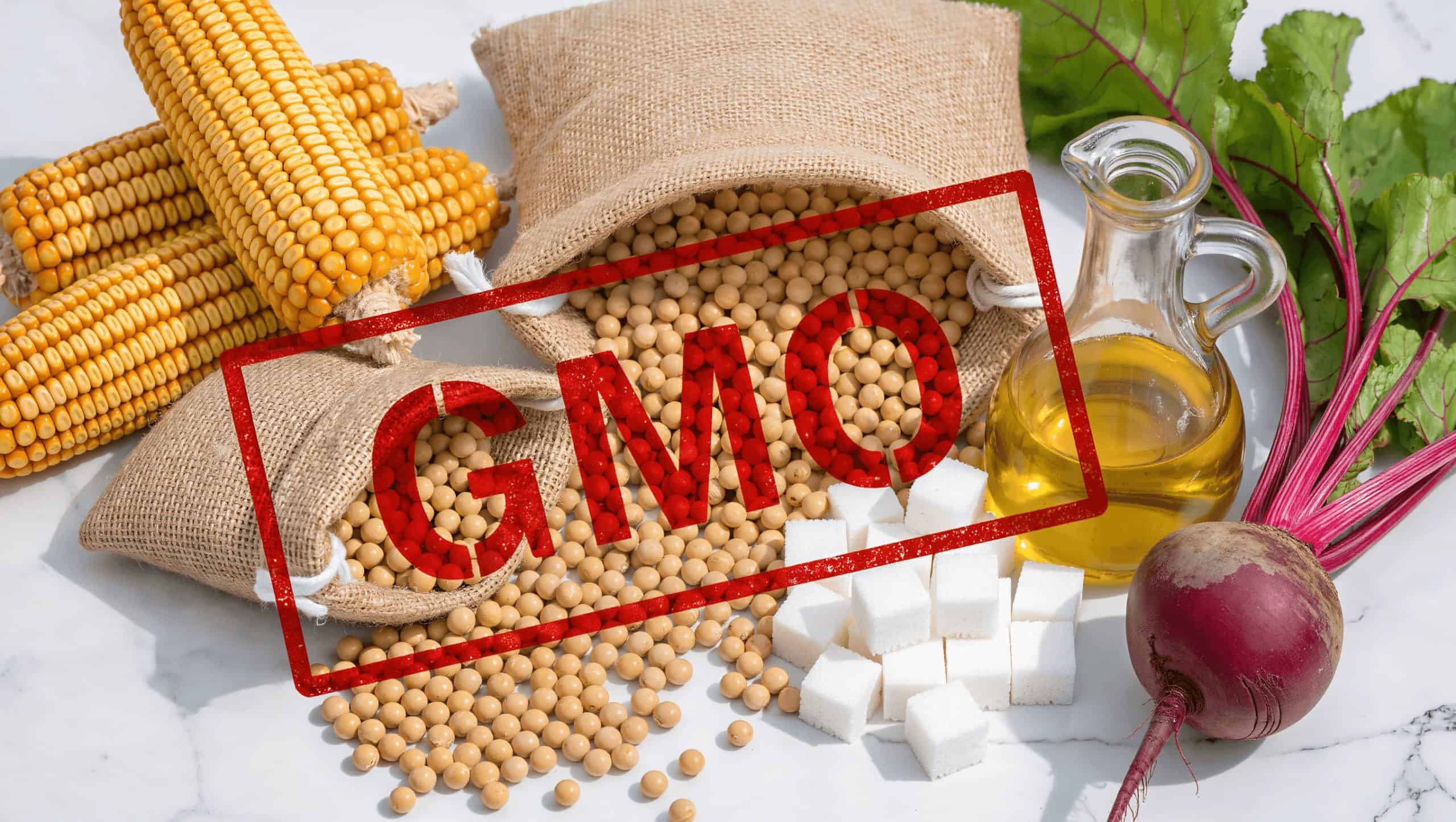 GMO foods including corn, soybeans, canola oil, and sugar beets displayed on a grocery shopping background