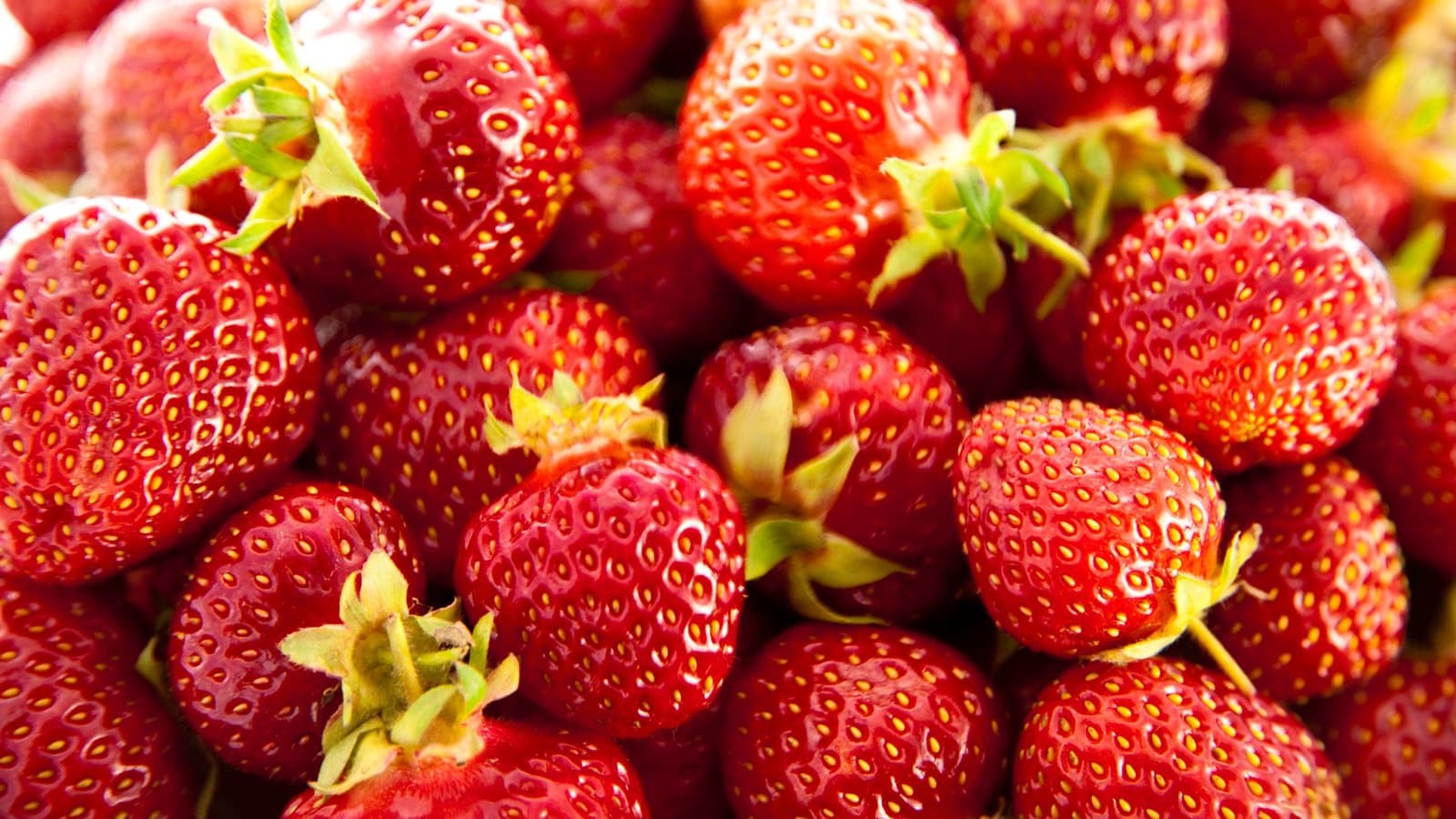 A pile of fresh red strawberries with green leaves