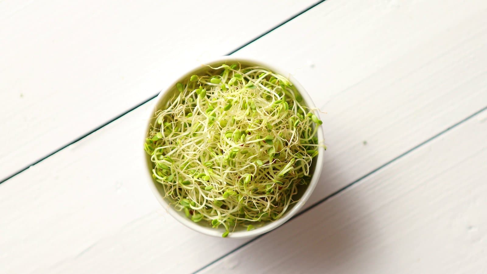 A white bowl of fresh sprouts on a white wooden table